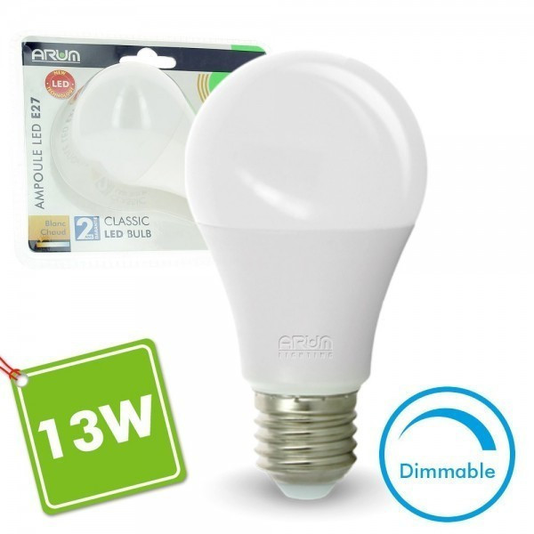 Ampoule 13W E27 6000k