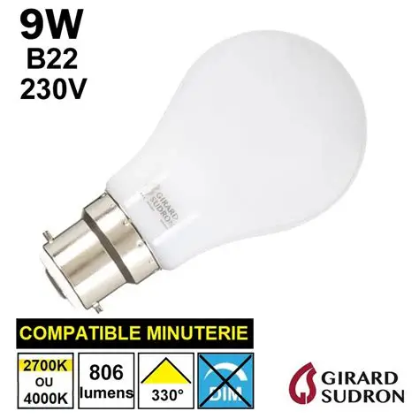 Ampoule led 9W B22